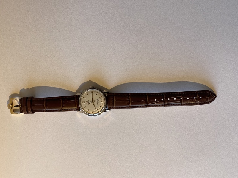 Omega Seamaster 600