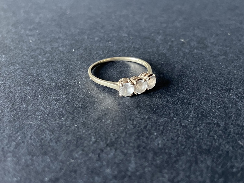 Ring gull